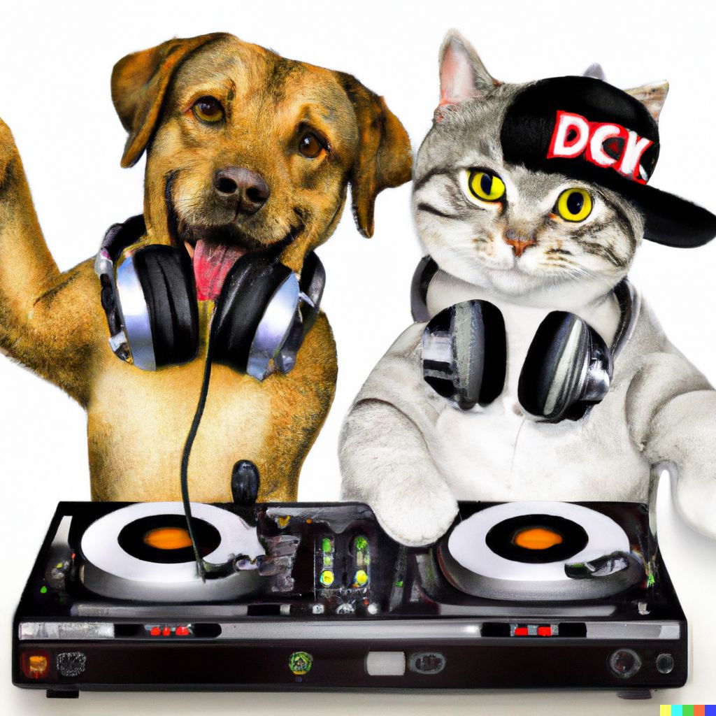 New video songs 2023 Dj Dog And Cat